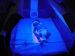 Baby_Pictures_First_Month_052.jpg