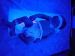 Baby_Pictures_First_Month_054.jpg