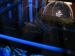 IMG_2473_800x600.JPG