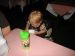 IMG_2489_800x600.JPG